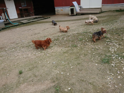 f:id:roukenhome-ann:20190726142158j:plain