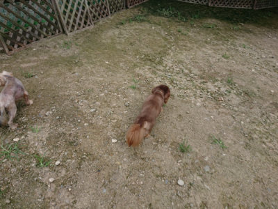 f:id:roukenhome-ann:20190726142202j:plain