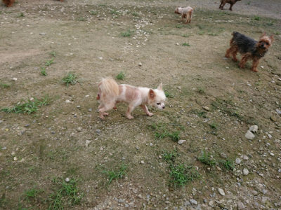 f:id:roukenhome-ann:20190726142207j:plain