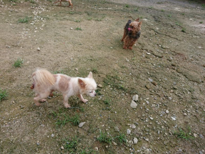 f:id:roukenhome-ann:20190726142213j:plain