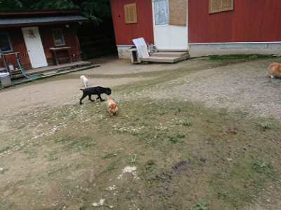 f:id:roukenhome-ann:20190726142229j:plain