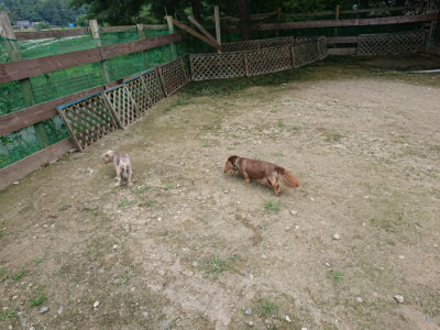 f:id:roukenhome-ann:20190726142235j:plain