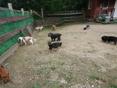 f:id:roukenhome-ann:20190726142239j:plain