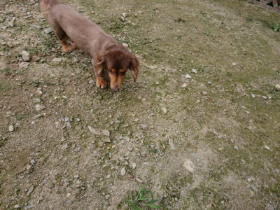 f:id:roukenhome-ann:20190726142250j:plain