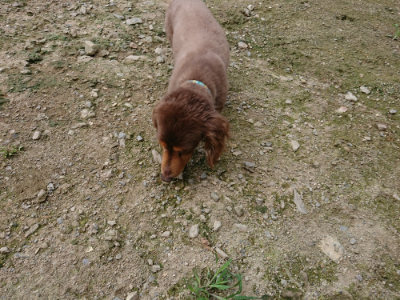 f:id:roukenhome-ann:20190726142256j:plain