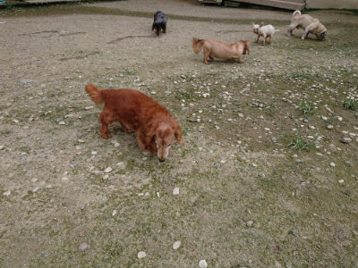 f:id:roukenhome-ann:20190726142302j:plain