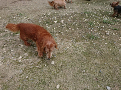 f:id:roukenhome-ann:20190726142307j:plain