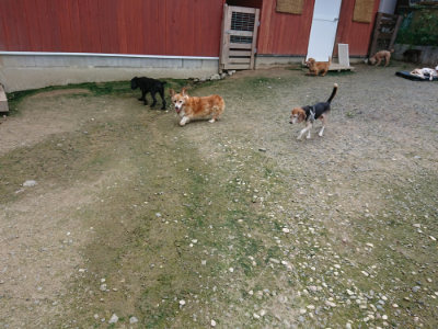 f:id:roukenhome-ann:20190726142311j:plain