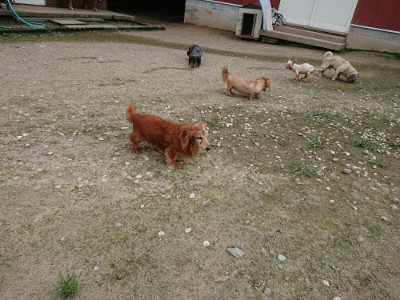 f:id:roukenhome-ann:20190726142316j:plain