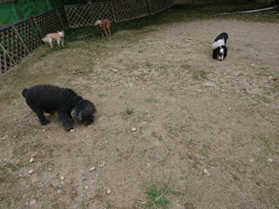 f:id:roukenhome-ann:20190726142326j:plain
