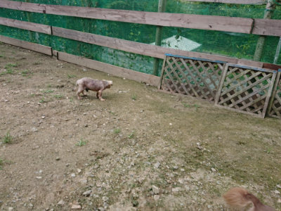 f:id:roukenhome-ann:20190726142331j:plain