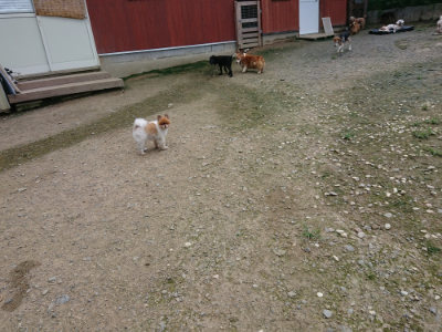 f:id:roukenhome-ann:20190726142337j:plain