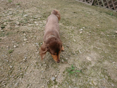 f:id:roukenhome-ann:20190726142351j:plain