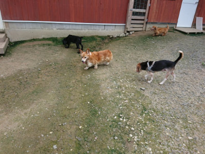 f:id:roukenhome-ann:20190726142415j:plain