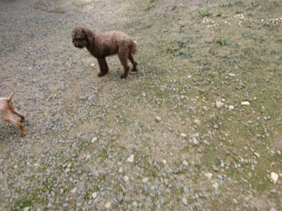 f:id:roukenhome-ann:20190726142503j:plain