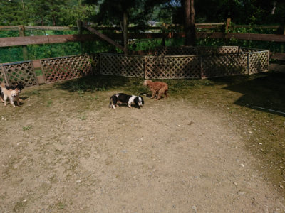 f:id:roukenhome-ann:20190726142536j:plain