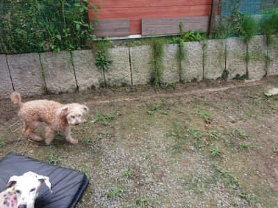 f:id:roukenhome-ann:20190726142655j:plain
