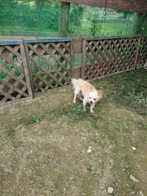 f:id:roukenhome-ann:20190726142710j:plain