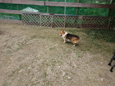 f:id:roukenhome-ann:20190726142715j:plain