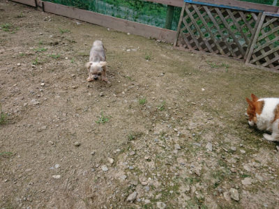 f:id:roukenhome-ann:20190726142825j:plain