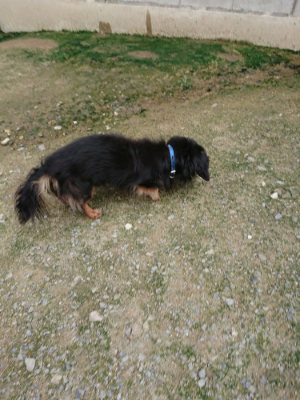f:id:roukenhome-ann:20190726142836j:plain