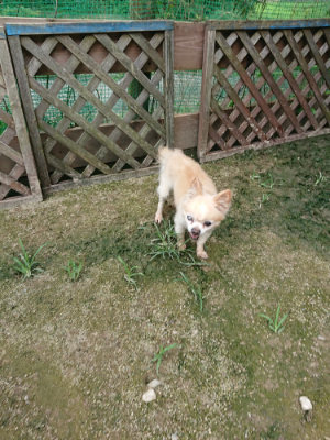 f:id:roukenhome-ann:20190726142842j:plain