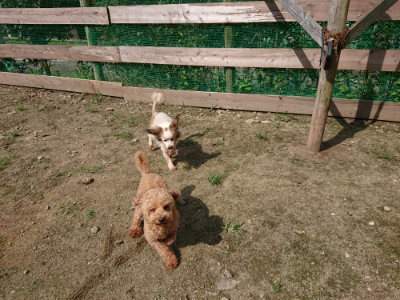 f:id:roukenhome-ann:20190726142847j:plain