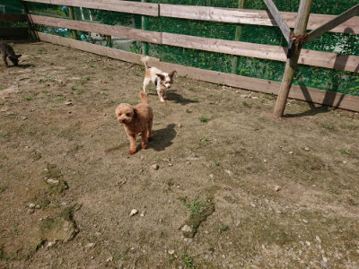 f:id:roukenhome-ann:20190726142904j:plain