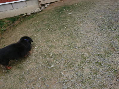 f:id:roukenhome-ann:20190726142918j:plain