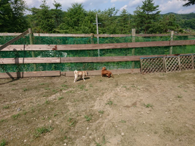 f:id:roukenhome-ann:20190726142924j:plain