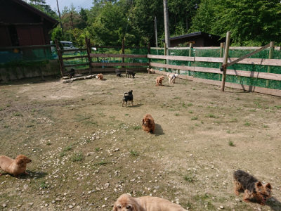 f:id:roukenhome-ann:20190726142943j:plain