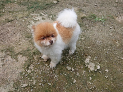 f:id:roukenhome-ann:20190726142958j:plain