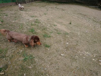 f:id:roukenhome-ann:20190726143023j:plain