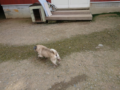 f:id:roukenhome-ann:20190726143028j:plain