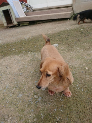 f:id:roukenhome-ann:20190726143043j:plain