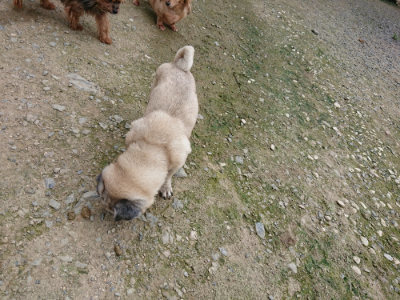 f:id:roukenhome-ann:20190726143050j:plain