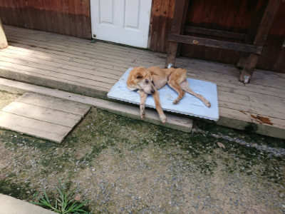 f:id:roukenhome-ann:20190726143124j:plain