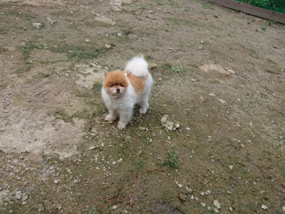 f:id:roukenhome-ann:20190726143130j:plain