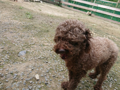 f:id:roukenhome-ann:20190726143134j:plain