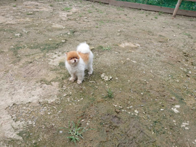 f:id:roukenhome-ann:20190726143152j:plain