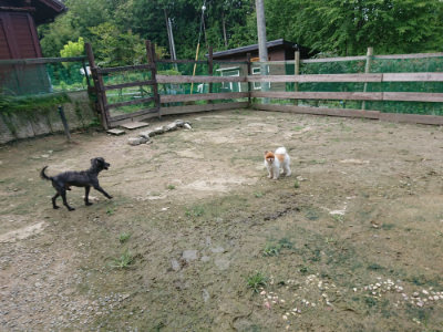 f:id:roukenhome-ann:20190726143218j:plain