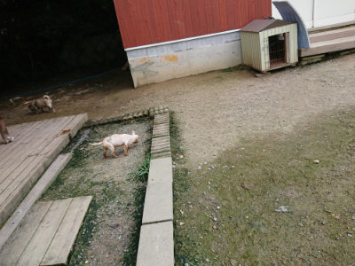 f:id:roukenhome-ann:20190726143230j:plain
