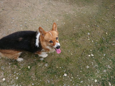 f:id:roukenhome-ann:20190726143342j:plain