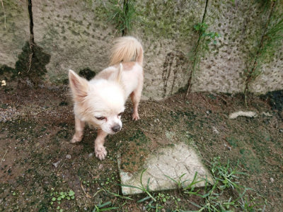 f:id:roukenhome-ann:20190726143427j:plain