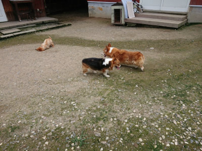 f:id:roukenhome-ann:20190726143443j:plain