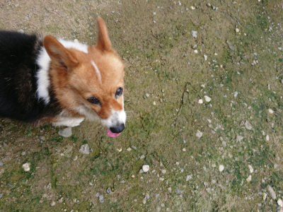 f:id:roukenhome-ann:20190726143448j:plain