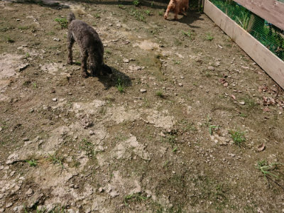 f:id:roukenhome-ann:20190726143516j:plain