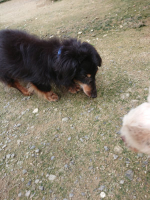 f:id:roukenhome-ann:20190726143525j:plain