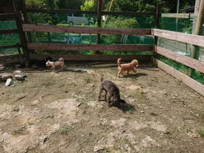 f:id:roukenhome-ann:20190726143530j:plain