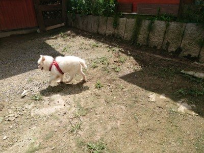 f:id:roukenhome-ann:20190726143536j:plain